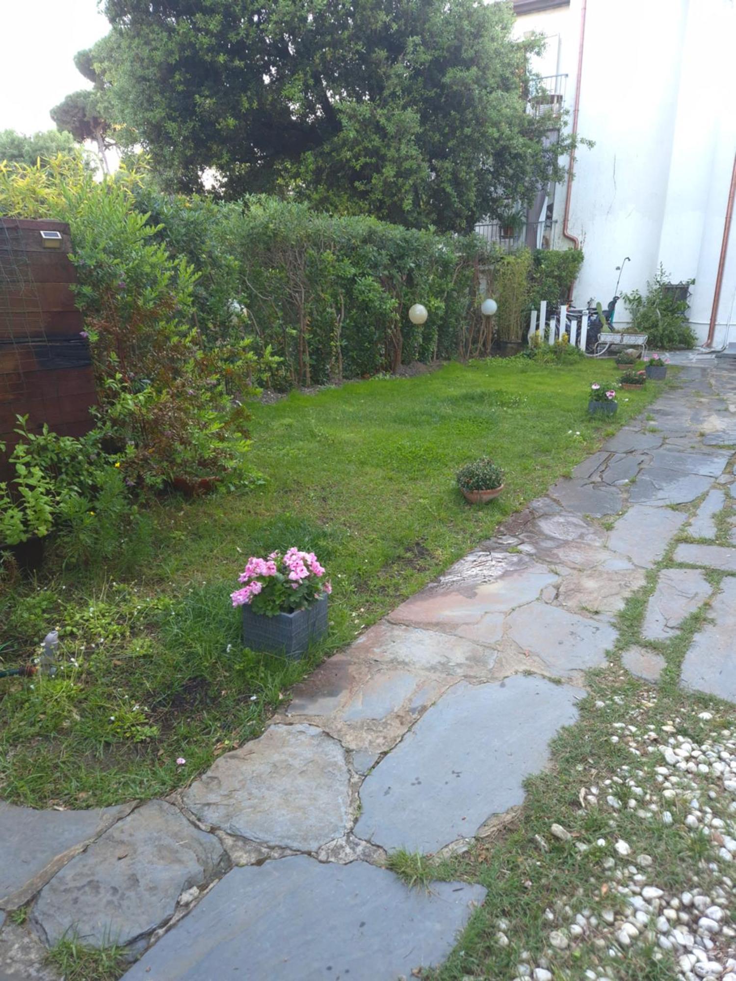 Domusauroom, Relax Nel Cuore Della Versilia - Pet Friendly Виареджо Екстериор снимка