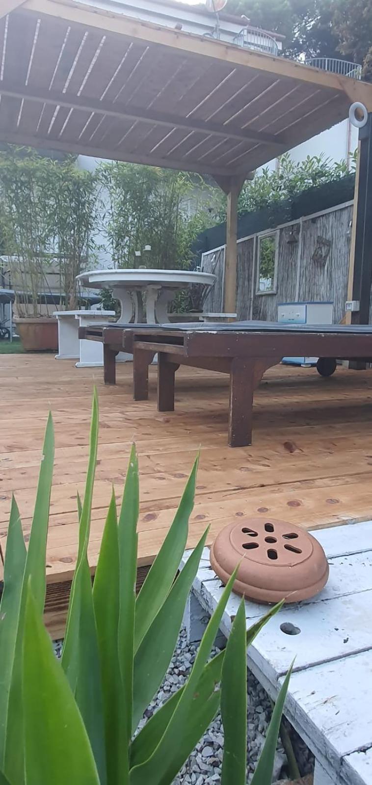 Domusauroom, Relax Nel Cuore Della Versilia - Pet Friendly Виареджо Екстериор снимка